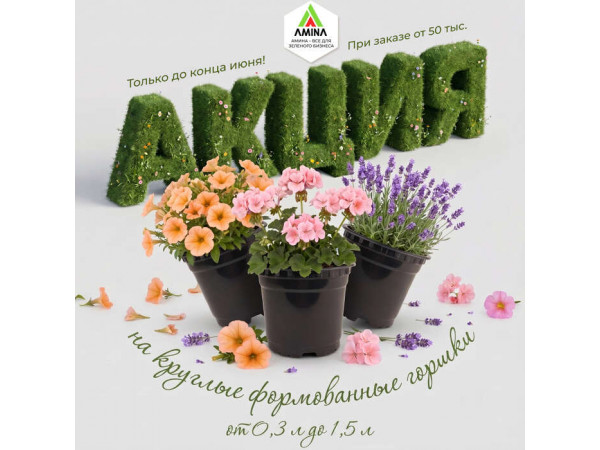 Акция на круглые формованные горшки в Амина Трейд